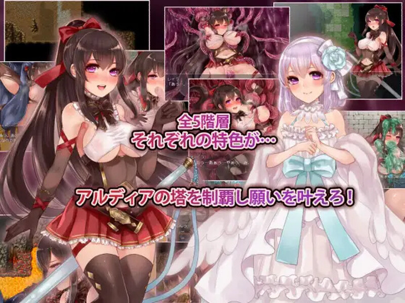 【精品RPG/战斗H/官中】阿尔迪亚之塔（アルディアの塔）V1.03 STEAM官中【1.20GB】