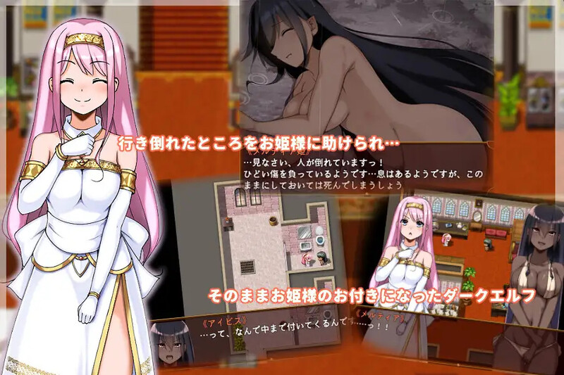 【回合RPG/百合/汉化】被捡到的精灵的感激之情（拾われエルフの恩返し）V1.0 内嵌AI汉化【双端-700M】