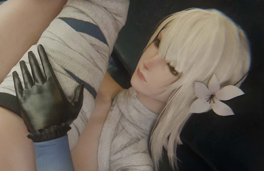 TDonTran大师3D：整合2025年7月更新整合菈妮+艾玛+艾瑞莉娅[NB-10G]