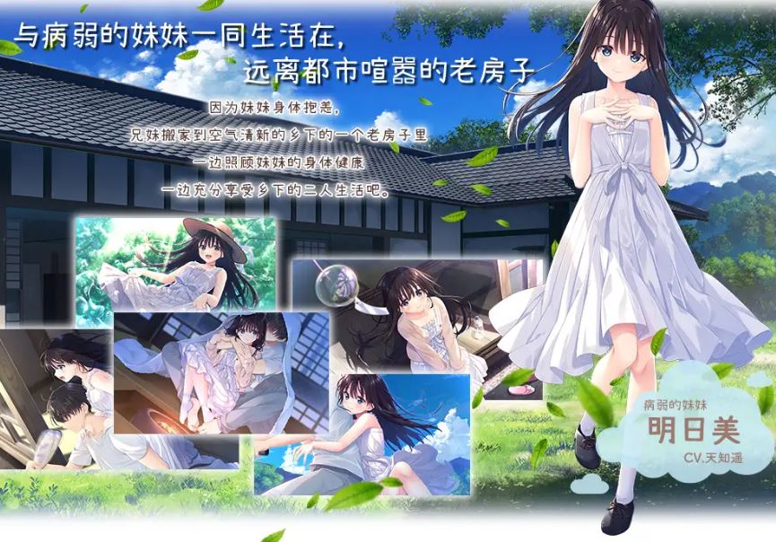 [电脑/RPG/官中] 痴情哥哥与病弱妹妹的乡间生活 官方中文版 [2.7G]