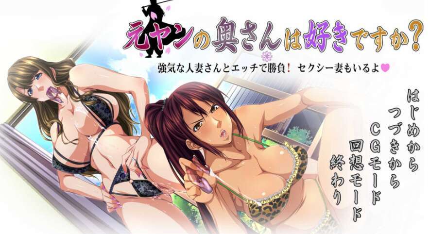 【电脑/拔作ADV/汉化】你喜欢前不良少女的妻子吗？/元ヤンの奥さんは好きですか？ AI汉化版【720M】