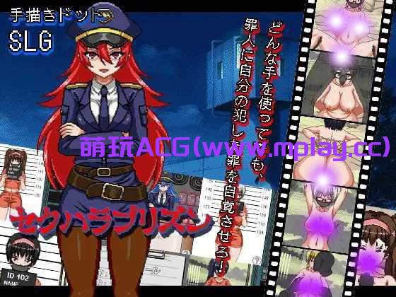 [电脑PC+安卓JOi/SLG/汉化/像素动态】性骚扰监狱/セクハラプリズン V7 AI汉化版【320M】