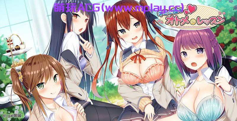 [PC+安卓/拔作ADV/汉化]キミに迫るオトメのレッスン-逼近你的少女 AI汉化版+全CG存档[新汉化/3.64G]