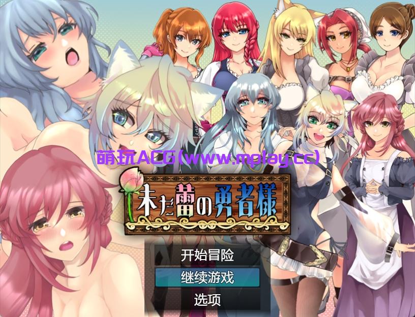 【PC+安卓JOI/日系RPG】萌新状态的英雄1.02【1.65G/汉化/双端】