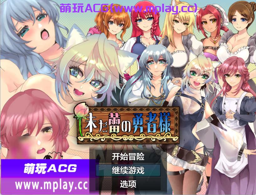 [电脑PC+安卓/日系RPGAIGPT汉化]未だ蕾の勇者様 未开花的勇者大人1.0[2.38G]