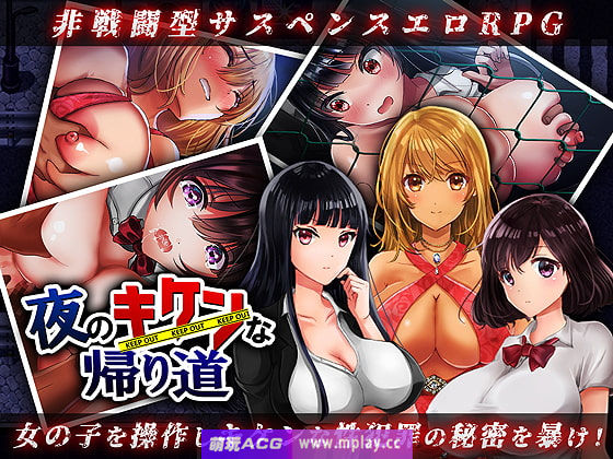 【PC+安卓Joi+IOS/RPG】晚上危险的回家路V2.0精翻汉化版+全CG【汉化/272M】