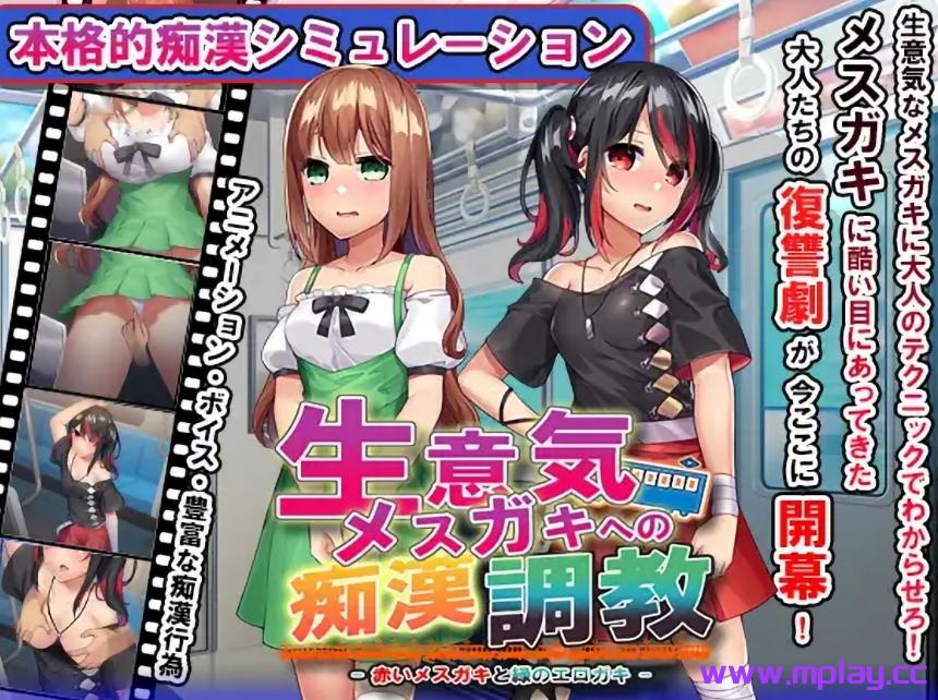[PC+安卓+IOS/互动SLG/调教]痴漢調教~調教两个自大的小母狗~ 精翻汉化版【900MB】