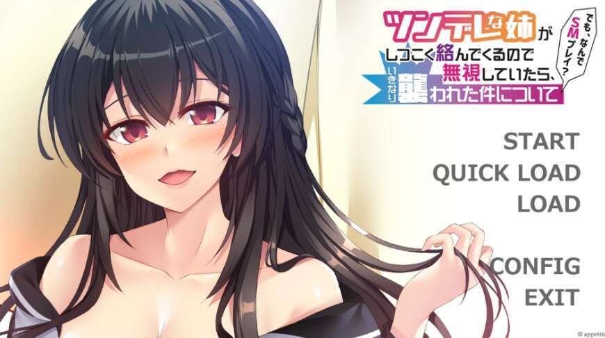 【PC/日系ADV/AIGPT汉化/2D】傲娇姐姐一直缠着我【424m】