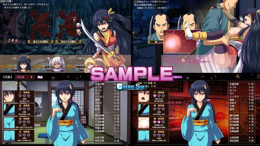 【电脑/RPG/挂载式AI汉化/大型江户幻想】女忍者花梨/くノ一花梨[2.43G]