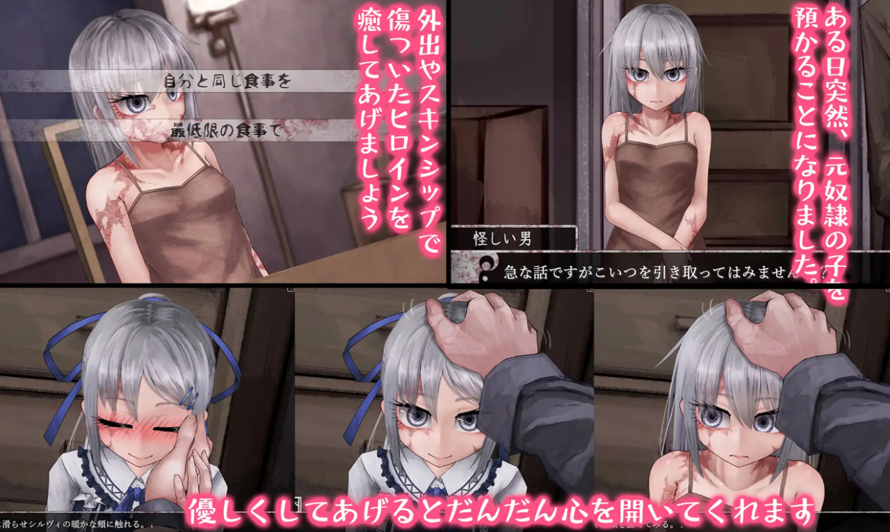 【养成SLG/精翻汉化/高潮脸/2D】奴隶少女希尔薇/TeachingFeeling 傷肌少女との生活 [Ver4.0.6]【2.8G】