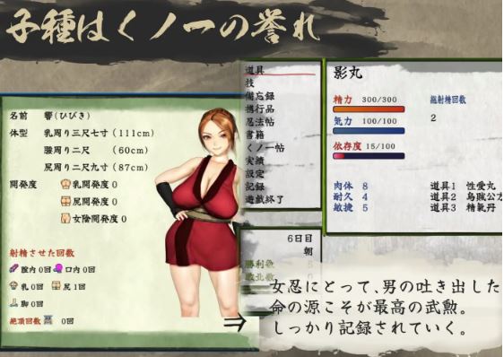 【电脑、安卓、IOS可用/日式RPG/AI汉化】女忍者战斗动作剧《勘英夜战》，容量952M