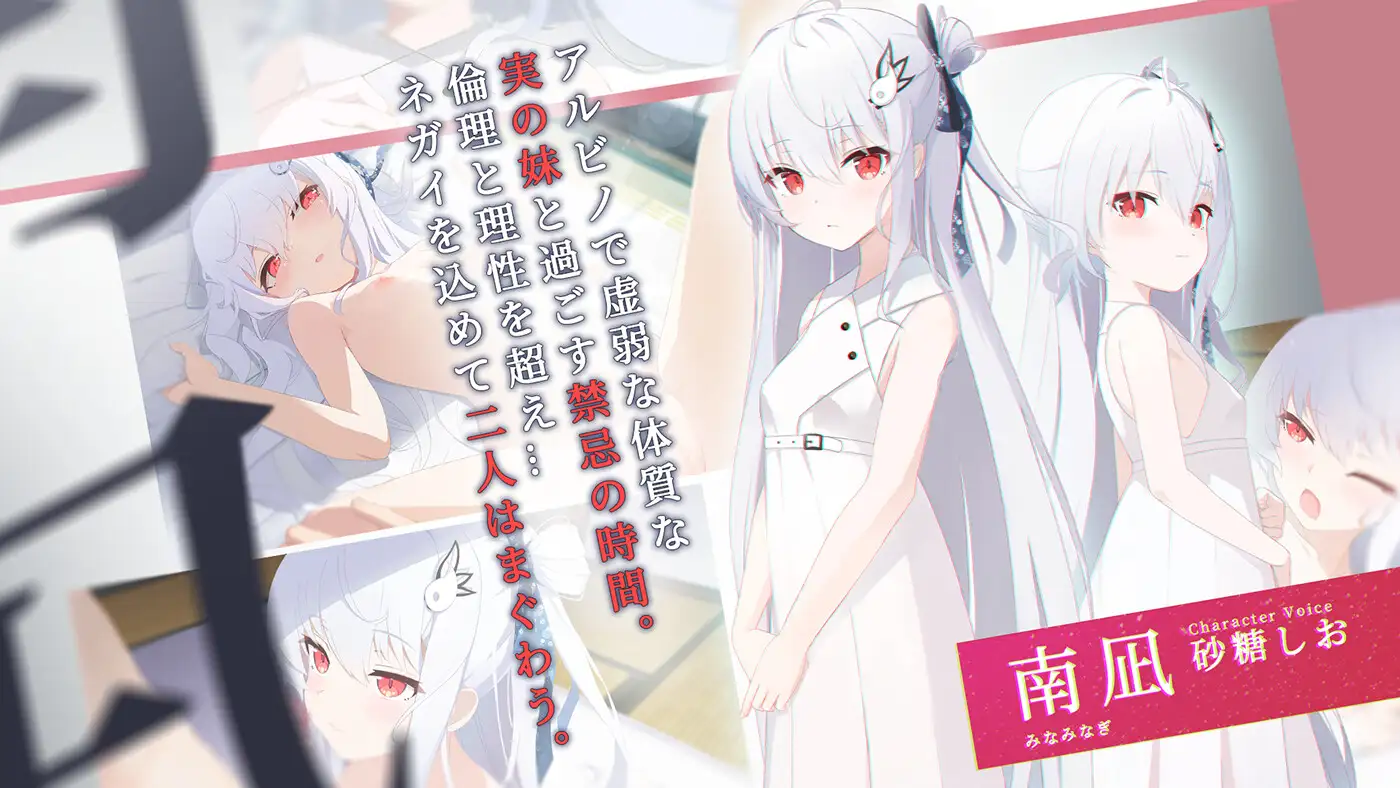 【ADV】《只愿/カタネガイ》精翻汉化版，含全CG存档、全CV语音，新汉化，文件大小1.4