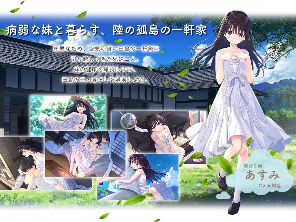 【RPG游戏更新】痴情乡下哥哥与古式病弱妹妹的乡间生活，Sickly Days and Summer Traces +DLC1 - 4官中无修版+存档（3月更新，3.5G）