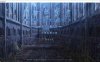 R6916 月球坠落时 MoonFall[官中步兵版][5.2G]