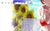 R2345 我暑假的秘密回忆 Ver2.0汉化版+攻略+存档+礼包【PC+安卓】【3G】