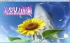 R337 美少女万华镜3－神明所创造的少女们－[汉化硬盘版]