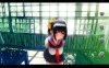 R4214 LOVE×EVOLUTION：快乐性活 [shoyoo大佬汉化版]【6.5G/全CV】