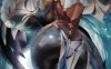 sakiimichan大师2022 1月整合