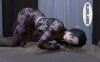 [3D无修]寝饭他人人妻-人妻和丈夫一边打电话一边被槽 [完/NTR人妻][115M]
