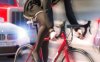 Z270 Gachidom大师：神仙级3D【拘束调教】作品合集！无比逼真