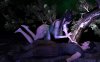 [VAM] s云流s：聊斋艳谭+番外 撞击激起欧派让人无法忍耐 4K60帧无修版[新作/4G]