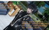 [国产] 大反派 Ver4.0 官方中文版[PC+安卓][1月更新/3.7G]