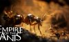 蚂蚁帝国 Empire of the Ants|豪华中文|Build.17028245+蚂蚁雄兵DLC+全DLC|解压即撸|