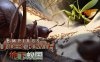 地下蚁国|官方中文|Build.16828767-重铸模式+自定义殖民地+2张全新自定义游戏地图|解压即撸|