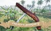 海盗之旅 Pirates Journey|官方中文|解压即撸|