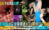 【迷乱夜生活第三弹】夜店蹦迪当众做爱露点，KTV露点口交做爱，还有在KTV里聚众淫趴，有些亮点角度刁钻没法截取，请细心观看！在线观看