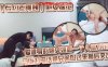 【专约老阿姨】 熟女探花爱健身的熟女姐姐一个人搞不定 马上打电话把兄弟叫过来前后夹击 3p熟女姐姐在线观看