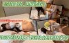 【流泪番茄_黑椒盖饭】我带娇妻去卖淫_绿帽老公亲自送上门！在线观看