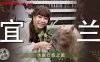 【吴梦梦】MM078 宜兰水豚疗愈之旅在线观看