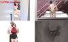 [日系] 在末日之中，她堕落了 AI汉化体验版[10月新作/1.4G]