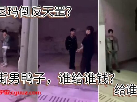 我尼玛倒反天罡？站街男鸭子，谁给谁钱？给谁忙 ？在线观看