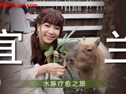 【吴梦梦】MM078 宜兰水豚疗愈之旅在线观看
