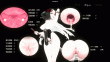 【动作ACT/全动态/官中】棘罪修女-伊妮莎（ThornSin）V0.7.5 官方中文 【4G】