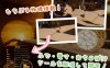 【互动SLG/3D作品/全动态/官中】心动点击（Feelin’ Click）V1.0 DL官中【1G】