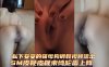 【极品新婚人妻】曹琪芹私下妥妥的骚母狗调教视频流出SM皮鞭皮鞭束缚轮番上阵在线观看