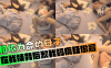 【相依为命的母子】在我姨背后和我妈疯狂做爱！在线观看
