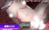 【PC+安卓JOI+IOS/堕落RPG/汉化/战斗H】拉菲娜和生命之药 ~ 极度堕落的旅途 汉化版 [1.2G]