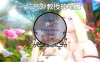 【PC/国风SLG】偶然教授的笔记 v0.2汉化版【1.5G/更新/汉化/动态】