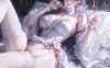 [2D漫画]《太极八荒》AI漫画图集陆雪琪篇打包大礼包，含2300P+