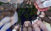 【3D漫画/大合集】银欲全家桶 第一部+第二部+姬紫佩篇+特别篇+番外 – 全系列收录，超大容量合集！