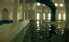 《空间池》v20241023中文版