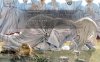 《非昼之语》v1.0.0中文版