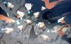 《火影忍者：终极风暴羁绊》v1.20中文版