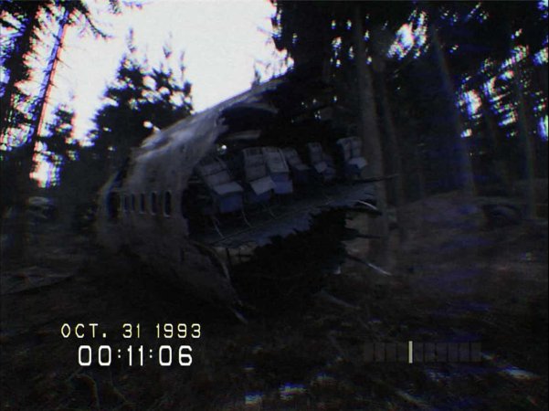 《切勿尖叫》v20241127中文版
